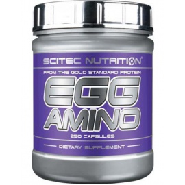 Egg Amino